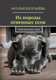 Обложка книги - Из породы огненных псов - Наталья Богатырёва