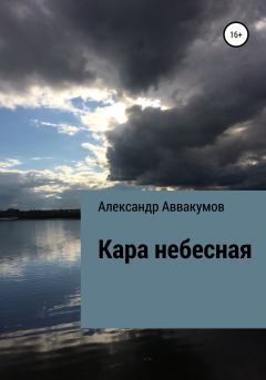Книга - Кара небесная. Александр Леонидович Аввакумов - прочитать в Литвек
