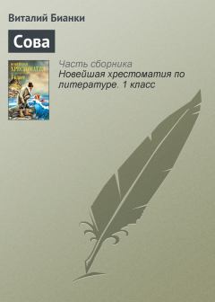 Книга - Сова. Виталий Валентинович Бианки - читать в Литвек