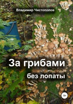 Книга - За грибами без лопаты. Владимир Иванович Чистополов - читать в Литвек