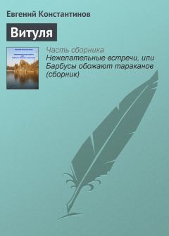 Книга - Витуля. Евгений Михайлович Константинов - читать в Литвек
