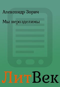 Обложка книги - Мы неразделимы - Александр Зорич