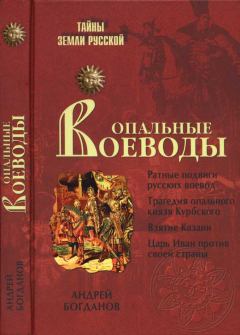 Книга - Опальные воеводы. Андрей Петрович Богданов - читать в Литвек