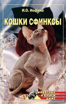 Обложка книги - Кошки – сфинксы - Дарья Владимировна Нестерова