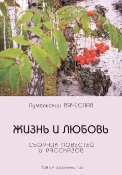 Книга - Жизнь и любовь (сборник). Вячеслав Лумельский - прочитать в Литвек