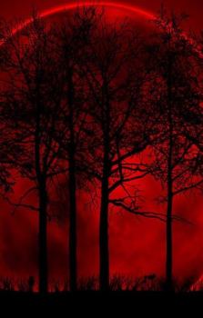 Обложка книги - Луна над «Красными деревьями» - Альетт де Бодар