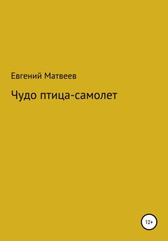 Обложка книги - Чудо птица-самолет - Евгений Матвеев