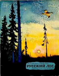 Обложка книги - Русский лес - Георгий Евлампиевич Никольский (иллюстратор)
