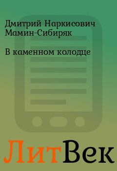 Обложка книги - В каменном колодце - Дмитрий Наркисович Мамин-Сибиряк