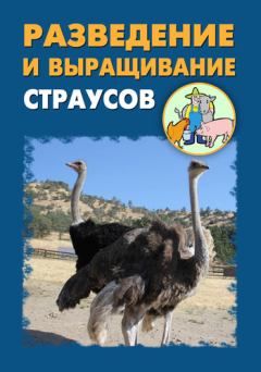 Обложка книги - Разведение и выращивание страусов - Александр Александрович Ханников