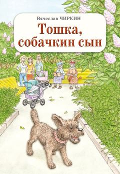 Книга - Тошка, собачкин сын. Вячеслав Павлович Чиркин - читать в Литвек