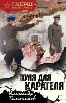 Обложка книги - Пуля для карателя - Александр Александрович Тамоников