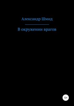 Книга - В окружении врагов. Александр Витальевич Шмид - читать в Литвек