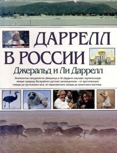 Обложка книги - Даррелл в России - Джеральд Даррелл