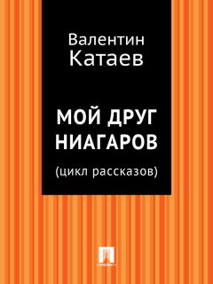 Обложка книги - Мой друг Ниагаров - Валентин Петрович Катаев