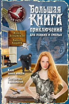 Обложка книги - Большая книга приключений для ловких и смелых - Кирилл Кащеев
