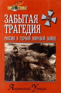 Книга - Забытая трагедия. Россия в первой мировой войне. Анатолий Уткин - читать в ЛитВек