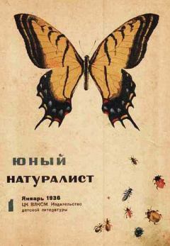 Обложка книги - Юный натуралист 1936 №1 - Журнал «Юный натуралист»
