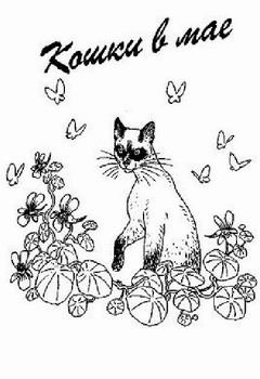 Обложка книги - Кошки в мае - Дорин Тови