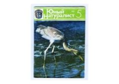 Книга - Юный натуралист 1981 №05. Журнал «Юный натуралист» - читать в Литвек