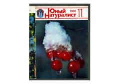 Книга - Юный натуралист 1986 №11. Журнал «Юный натуралист» - читать в Литвек
