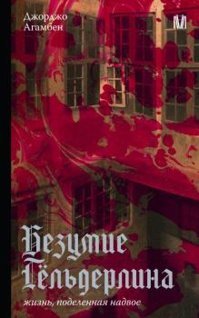 Книга - Безумие Гёльдерлина. Жизнь, поделенная надвое. Джорджо Агамбен - читать в Литвек