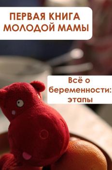 Обложка книги - Всё о беременности: этапы - Илья Мельников
