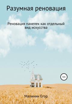 Книга - Разумная реновация. Егор Сергеевич Малинин - читать в Литвек