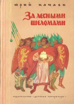 Книга - За лесными шеломами. Юрий Григорьевич Качаев - читать в Литвек