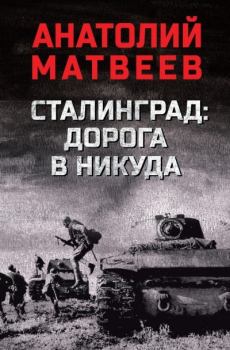 Обложка книги - Сталинград: дорога в никуда - Анатолий Алексеевич Матвеев