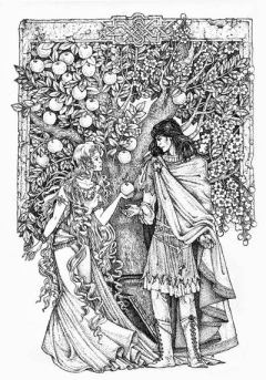 Книга - Томас Рифмач. Эллен Кашнер - читать в Литвек