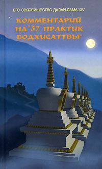 Обложка книги - Комментарий на «37 практик бодхисаттвы» - Тензин Гьяцо