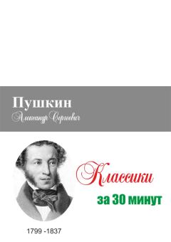 Обложка книги - Пушкин за 30 минут - Илья Валерьевич Мельников
