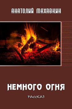 Обложка книги - Немного огня - Анатолий Анатольевич Махавкин
