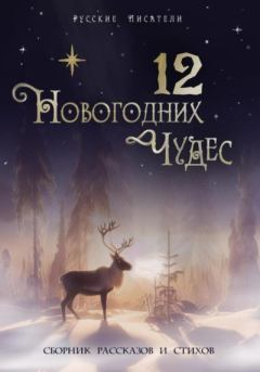 Обложка книги - 12 новогодних чудес - Юлия Александровна Рахаева