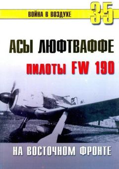 Книга - Асы люфтваффе пилоты Fw 190 на Восточном фронте. С В Иванов - читать в ЛитВек