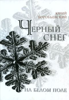 Обложка книги - Черный снег на белом поле - Юрий Юрьевич Воробьевский