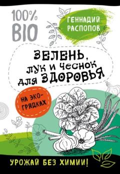 Обложка книги - Зелень для здоровья. Лук и чеснок на эко грядках - Геннадий Федорович Распопов