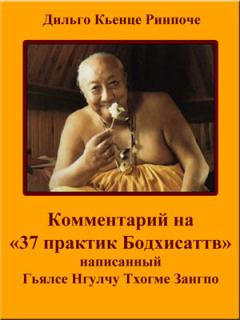 Обложка книги - Комментарий на «37 практик Бодхисаттв» - Дильго Кьенце