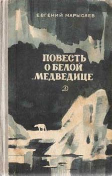 Книга - Пират. Евгений Клеоникович Марысаев - читать в ЛитВек