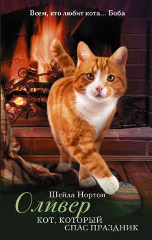 Обложка книги - Оливер. Кот, который спас праздник - Шейла Нортон