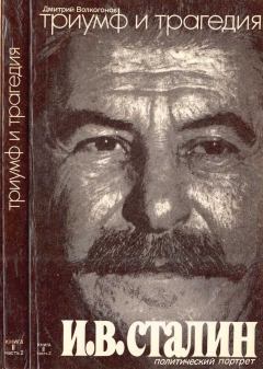 Книга - Триумф и трагедия : Политический портрет И. В. Сталина : Книга 2. Часть 2. Дмитрий Антонович Волкогонов - прочитать в Литвек