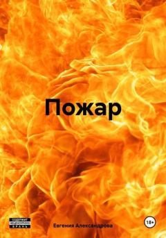 Книга - Пожар. Евгения Александровна Александрова - читать в Литвек
