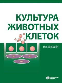 Обложка книги - Культура животных клеток. Практическое руководство - Р. Ян Фрешни