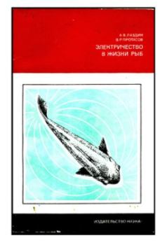 Обложка книги - Электричество в жизни рыб - Александр Владимирович Лаздин