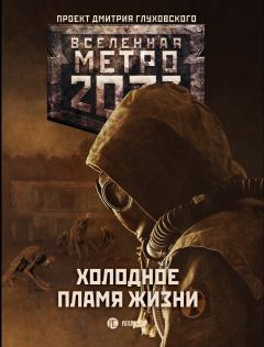 Книга - Метро 2033: Холодное пламя жизни. Алексей Алексеевич Доронин - прочитать в ЛитВек