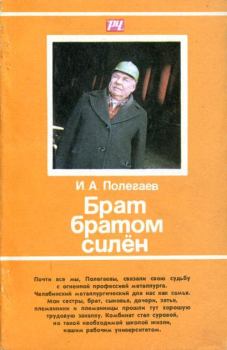 Книга - Брат братом силён. Иван Александрович Полегаев - читать в ЛитВек