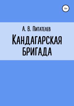 Книга - Кандагарская бригада. А. В. Питателев - прочитать в Литвек
