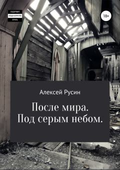 Обложка книги - После мира. Под серым небом - Алексей Николаевич Русин