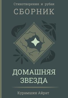 Книга - Домашняя звезда. Айрат Ренатович Курамшин - читать в Литвек